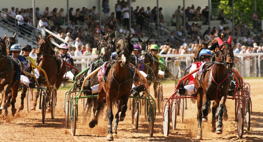 L'Hippodrome des Brûlins, à Saint-Aubin-lès-Elbeuf, obtient le label EquuRES