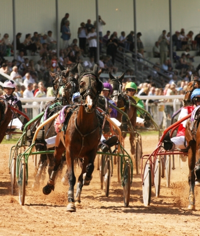 L'Hippodrome des Brûlins, à Saint-Aubin-lès-Elbeuf, obtient le label EquuRES