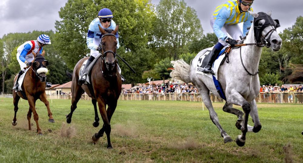 L'Hippodrome Royan-Atlantique, en Charente-Maritime, est labellisé EquuRES à l'échelon engagement !