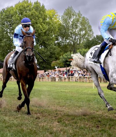 L'Hippodrome Royan-Atlantique, en Charente-Maritime, est labellisé EquuRES à l'échelon engagement !