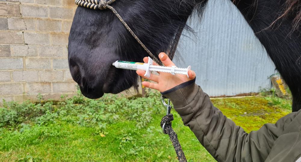 Pourquoi choisir la vermifugation raisonnée ?