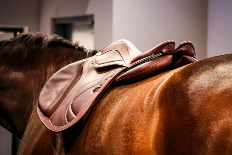 selle devoucoux