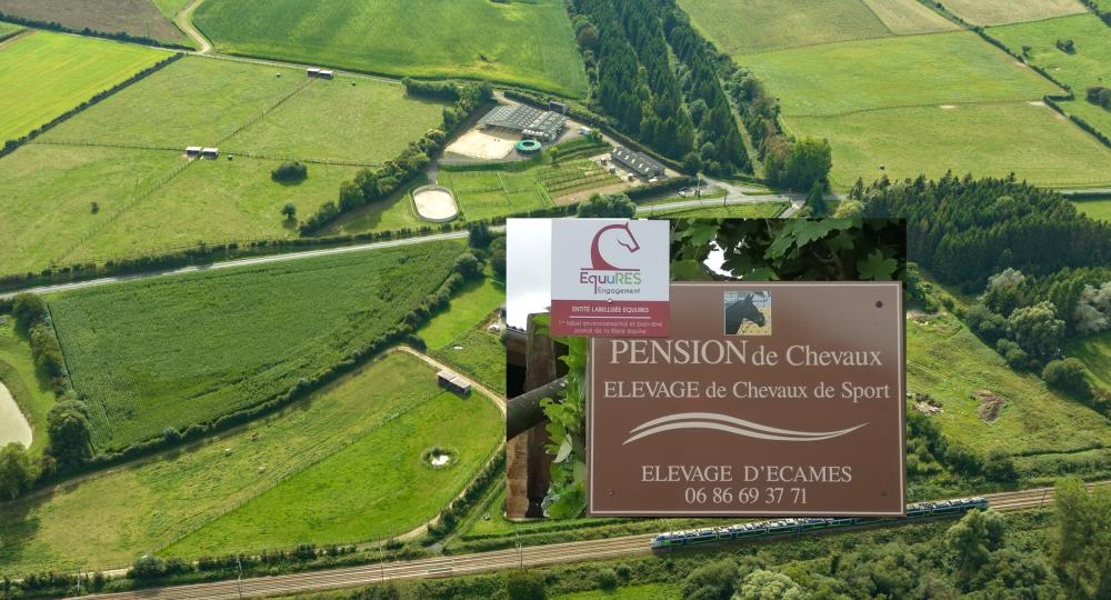L'élevage d'Ecames, 1er labellisé du Nord-Pas-de-Calais, renouvelle sa labellisation !