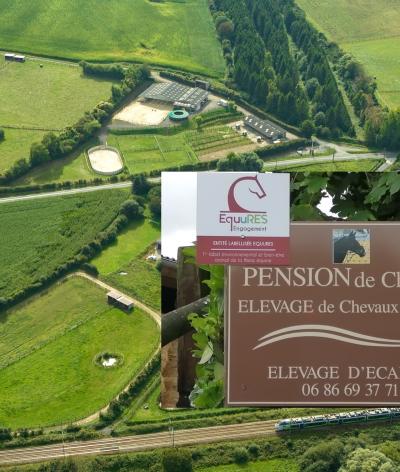 L'élevage d'Ecames, 1er labellisé du Nord-Pas-de-Calais, renouvelle sa labellisation !