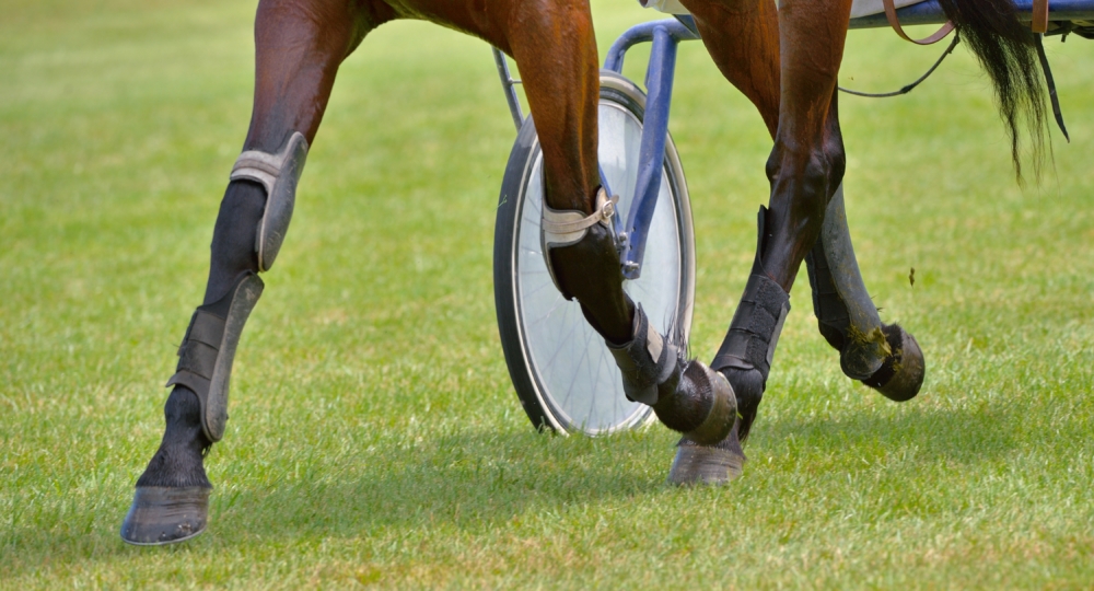 Nouveaux engagements : la charte nationale des hippodromes pour la préservation de la ressource en eau  !