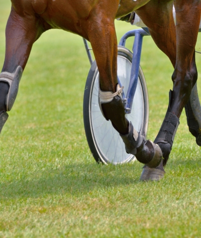 Nouveaux engagements : la charte nationale des hippodromes pour la préservation de la ressource en eau  !