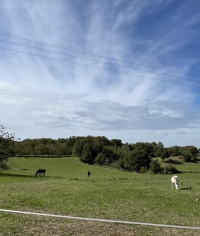 L'Élevage du Tavernier, en Occitanie, obtient sa labellisation EquuRES à l’échelon Engagement !