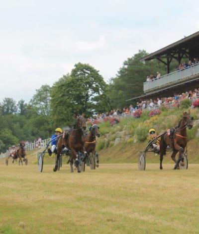 L'Hippodrome de Bagnoles de l'Orne Normandie obtient sa labellisation EquuRES Hippodrome à l’échelon engagement !