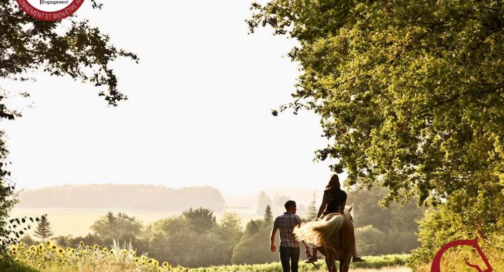 La Pension du Lys, renouvelle sa labellisation EquuRES à l'échelon Engagement !