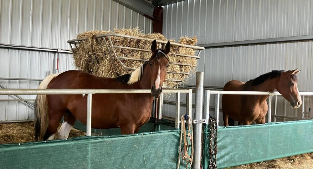 L'Ecurie Star du Moulin, en Haute-Marne, obtient la labellisation EquuRES