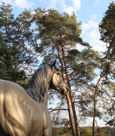 Le Grand Parquet de Fontainebleau est labellisé EquuRES