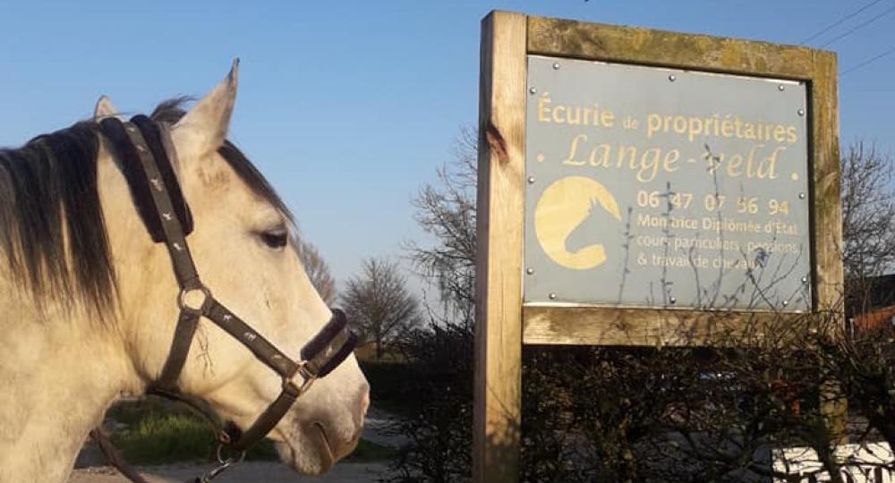 L'écurie du Lange-Veld, dans le Nord, obtient le label EquuRES