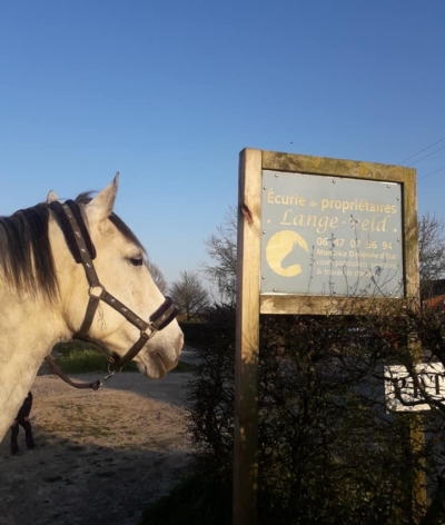 L'écurie du Lange-Veld, dans le Nord, obtient le label EquuRES