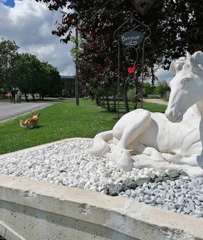 L'EARL Terre à Terre, en Charentes-Maritime, se labellise à l'échelon engagement