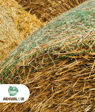 Donnez une seconde vie à vos déchets avec ADIVALOR