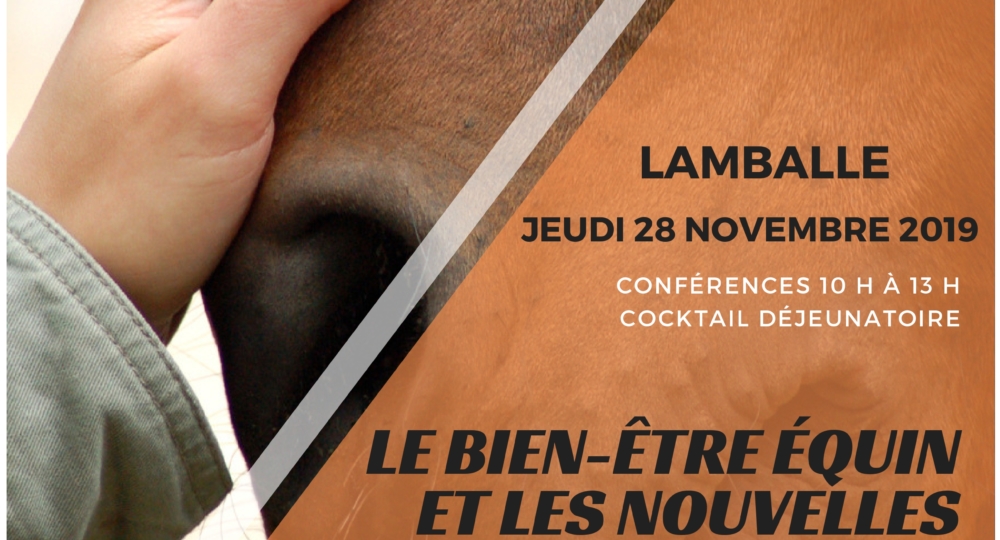 Présentation d'EquuRES lors de la Journée dédiée au « Bien-être équin et nouvelles technologies » le jeudi 28 novembre 2019 à Lamballe, en Bretagne