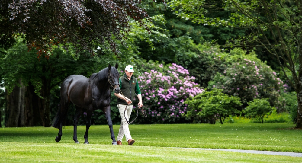 The Aga Khan's Studs renouvellent leur labellisation EquuRES pour les 3 prochaines années !