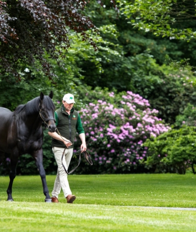 The Aga Khan's Studs renouvellent leur labellisation EquuRES pour les 3 prochaines années !