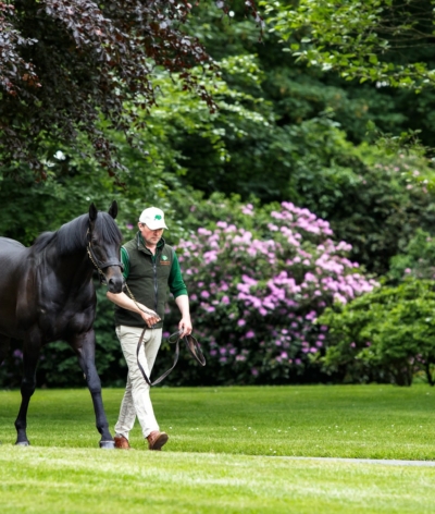 The Aga Khan's Studs renouvellent leur labellisation EquuRES pour les 3 prochaines années !