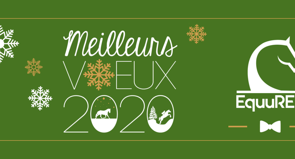 🎉✨BONNE ANNÉE 2020 ✨🎉