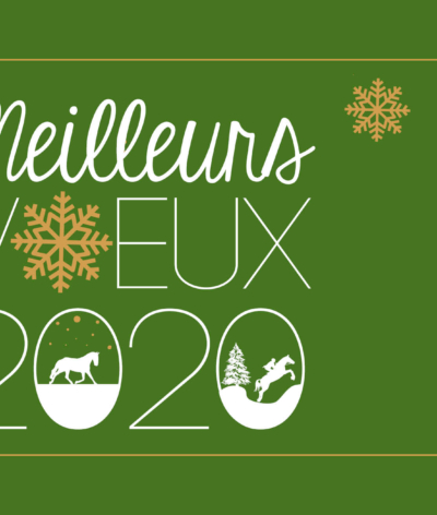 🎉✨BONNE ANNÉE 2020 ✨🎉