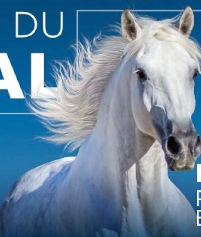 Le Salon du Cheval d'Angers se labellise à l'échelon engagement pour la première fois