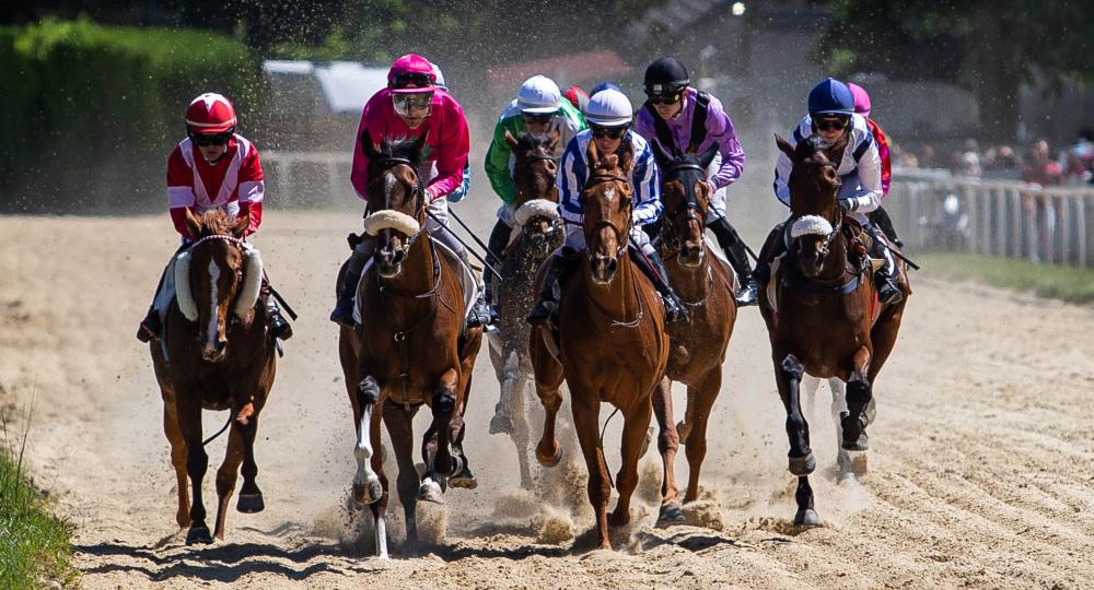 L'hippodrome de Pompadour, situé à Saint-Sornin-Lavolps dans la région Nouvelle-Aquitaine, obtient la labellisation EquuRES à l’échelon engagement !