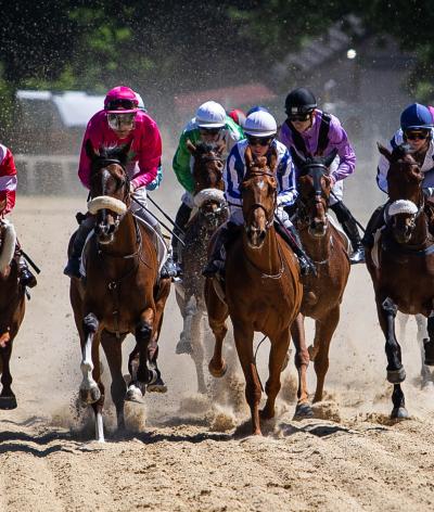L'hippodrome de Pompadour, situé à Saint-Sornin-Lavolps dans la région Nouvelle-Aquitaine, obtient la labellisation EquuRES à l’échelon engagement !
