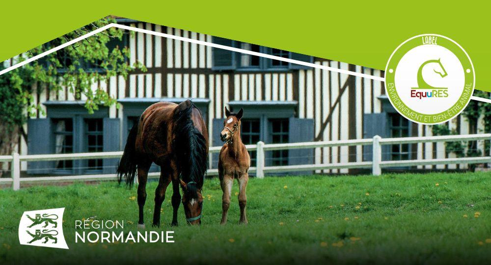 Normandie : Bénéficiez d'aides dans votre région avec le label EquuRES !