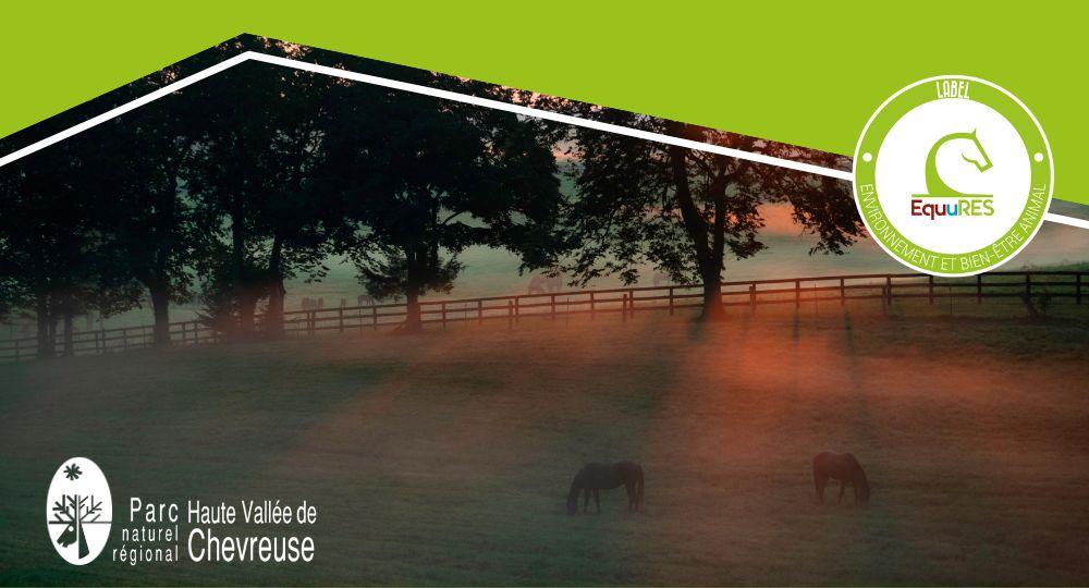 Parc Naturel de la Haute Vallée de Chevreuse : Bénéficiez d'aides avec le label EquuRES !