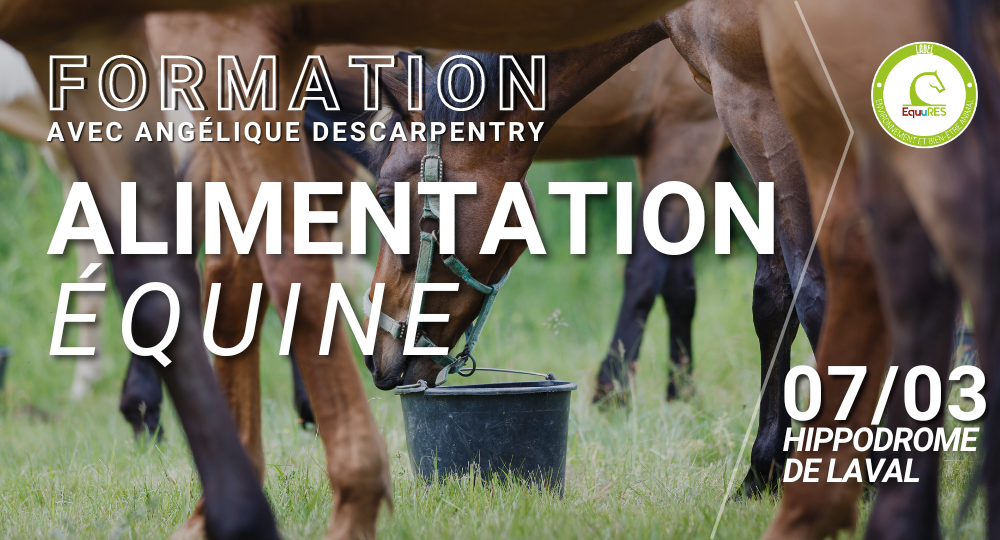 Formation "alimentation équine" avec Angélique Descarpentry à Laval