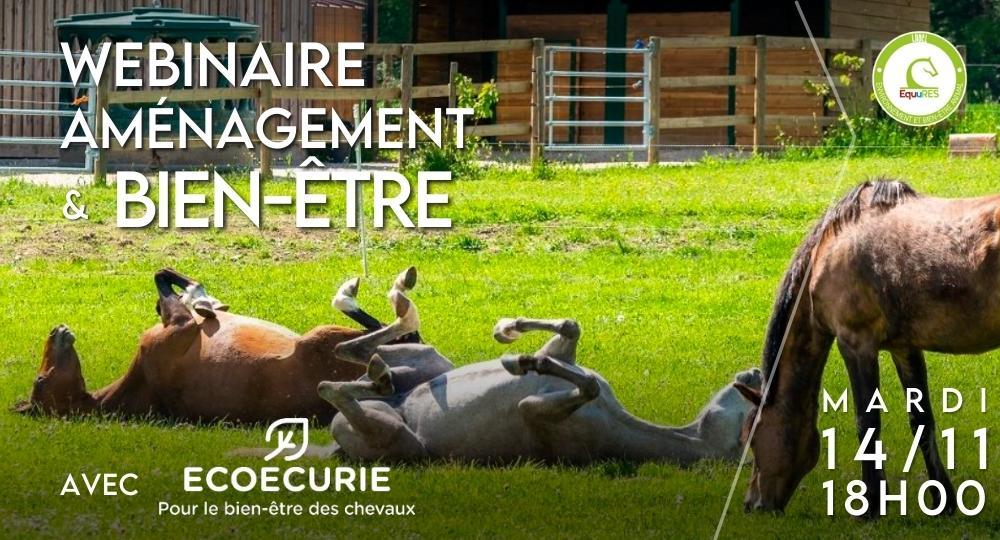 Webinaire : Aménagement et bien-être équin avec ECOECURIE