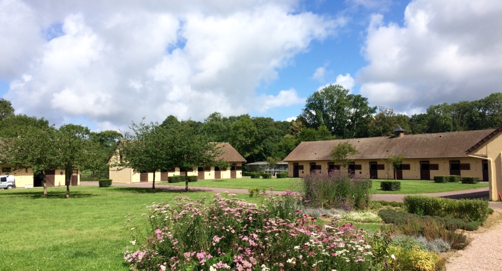 Le Haras de Bourgeauville, élevage de pur-sang, vient d'être labellisé EquuRES