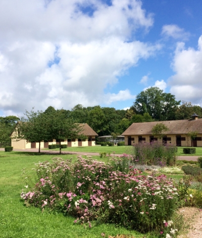 Le Haras de Bourgeauville, élevage de pur-sang, vient d'être labellisé EquuRES