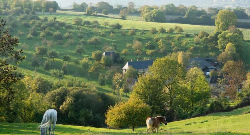 L’écurie Cadence Consulting, dans le Calvados, renouvelle sa labellisation EquuRES au niveau Progression