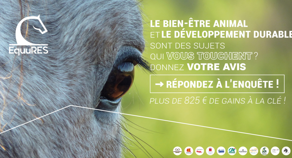 🐴 🌿 Bien-être animal, environnement et filière équine :  une enquête nationale