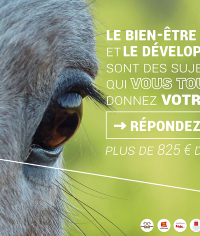 🐴 🌿 Bien-être animal, environnement et filière équine :  une enquête nationale