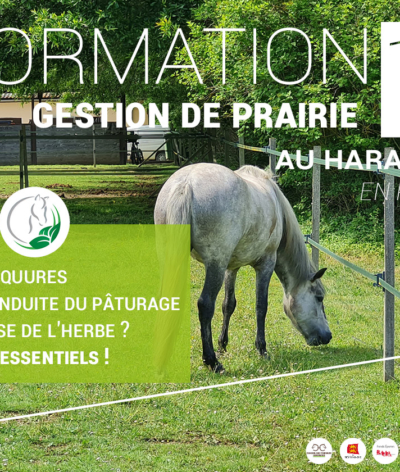 Formation sur la gestion de prairies le mardi 19 avril 2022 matin au Haras de la Cense