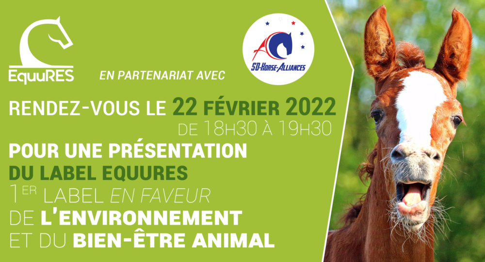 Webinaire de présentation du label EquuRES pour le cluster So-Horse-Alliance