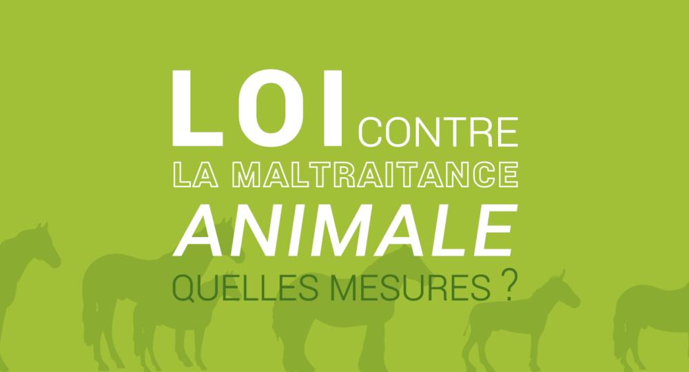 Loi contre la maltraitance animale, quelles mesures?