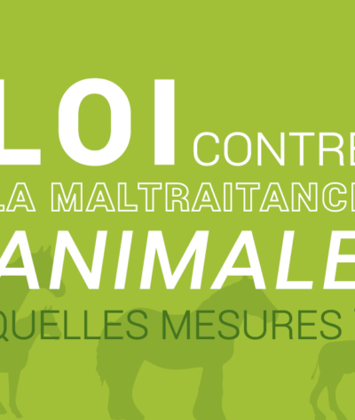 Loi contre la maltraitance animale, quelles mesures?