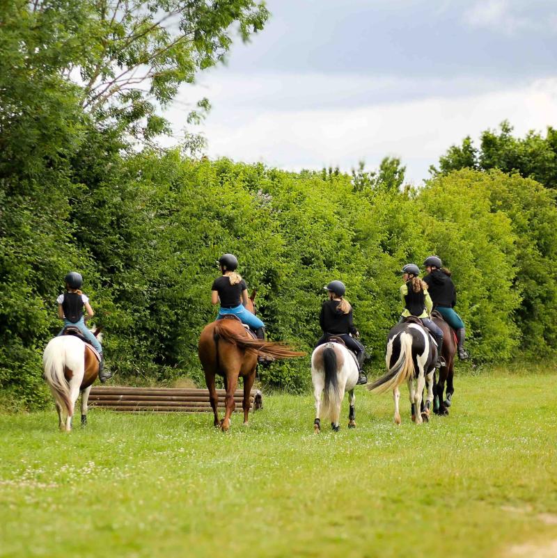 Cinq cavalière se promenant à cheval sur un terrain de cross dans un centre équestre labellisé EquuRES respectant le bien-être des chevaux