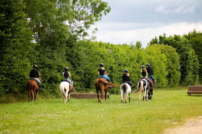 Poneys et cavaliers prenant un cours d'équitation dans un centre équestre labellisés EquuRES Environnement et bien-être équin