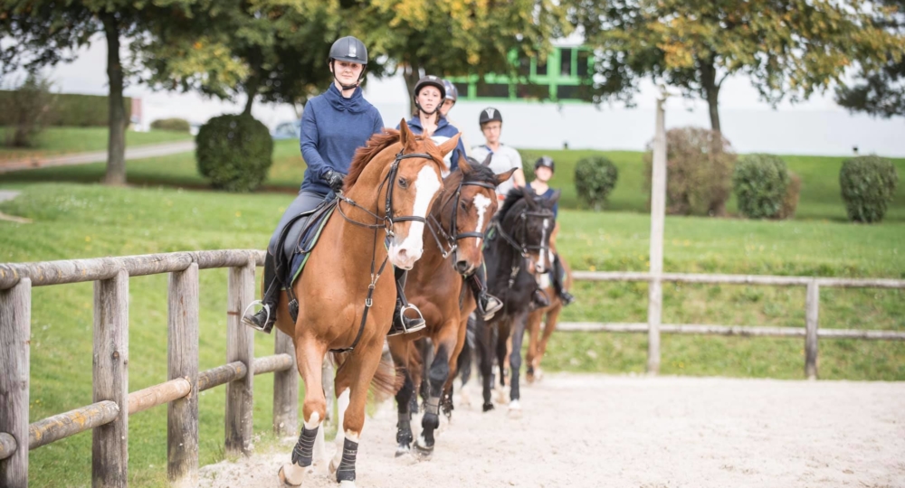 Le Pôle Equestre du CFA Seine Maritime Yvetot labellisé EquuRES