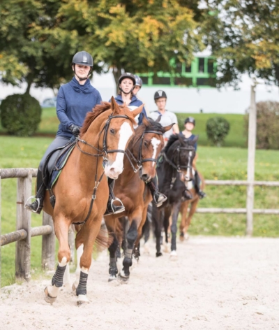 Le Pôle Equestre du CFA Seine Maritime Yvetot labellisé EquuRES