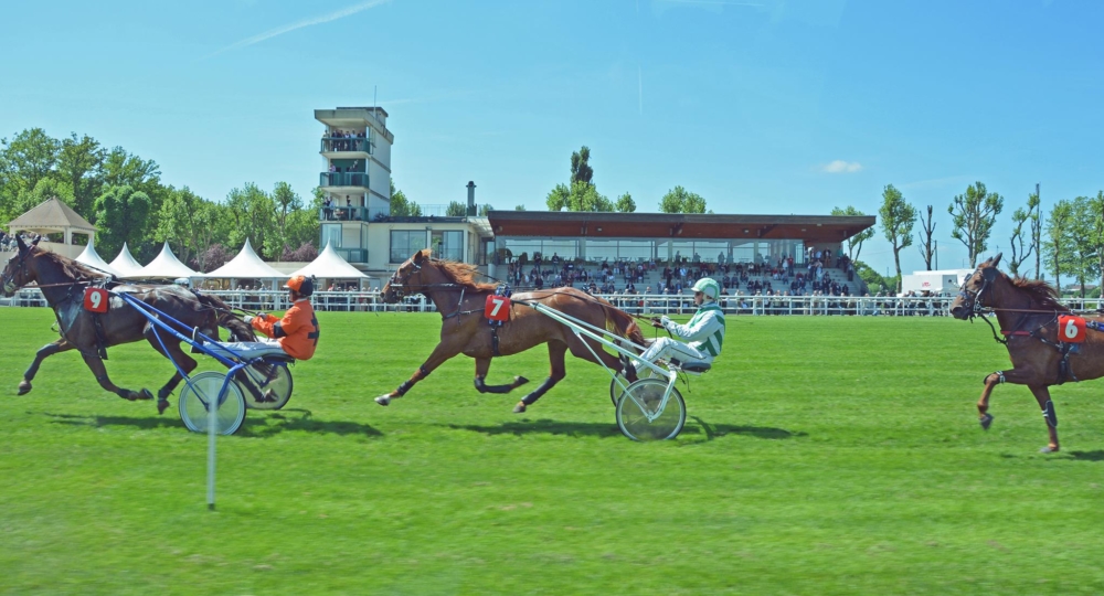 L'hippodrome de Rambouillet labellisé EquuRES