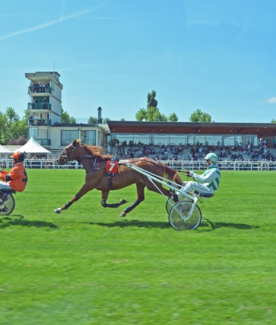 L'hippodrome de Rambouillet labellisé EquuRES