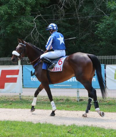 L'hippodrome de Vittel, dans les Vosges, se labellise EquuRES à l'échelon Engagement