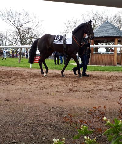 L'hippodrome de Senonnes-Pouancé, dans le Pays-de-la-Loire, se labellise EquuRES au niveau Engagement