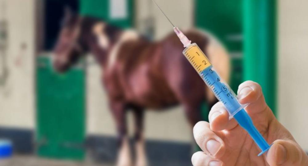 A quoi sert la vaccination ?